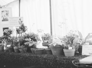 Dagenham Town Show 1966 at Central Park, showing Flower Arrangement Society Alpine exhibit in Visual Arts display, 1966