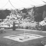 Dagenham Town Show 1966 ...