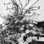 Dagenham Town Show 1966 ...