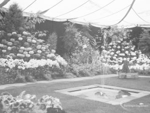 Dagenham Town Show 1966 at Central Park, showing Parks’ Department Horticulture display, with fountain and flowers taken from south-east, 1966