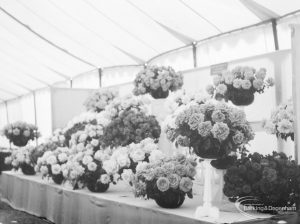 Dagenham Town Show 1966 at Central Park, showing Horticulture display of bunches of roses, 1966