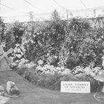 Dagenham Town Show 1966 ...