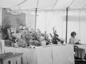 Dagenham Town Show 1966 at Central Park, showing potted plants in Further Education Display, 1966