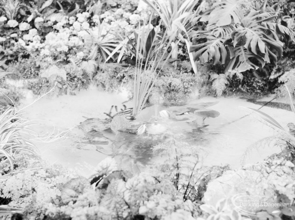 Dagenham Town Show 1966 at Central Park, showing Civic Services Parks Department display, with aquatic plants in pond, 1966