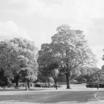 Valentines Park, Ilford, showing trees and bandstand, 1966