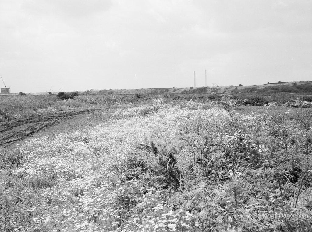 Riverside Sewage Works Reconstruction XII, showing panoramic view of undeveloped area, with rough dirt tracks amongst wild flowers and with industrial buildings on horizon [sequence running from left to right EES11459 – 60 – 66 – 65 – 62 – 67 – 63 – 64 – EES11461], 1966