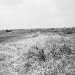 Riverside Sewage Works R...