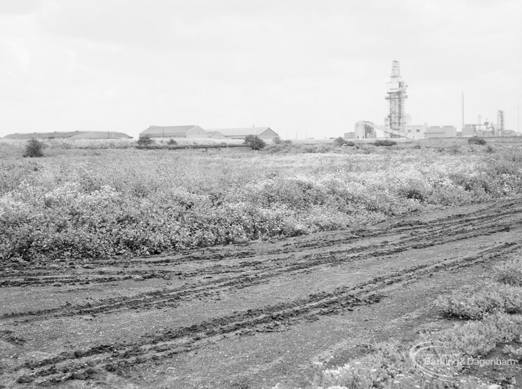 Riverside Sewage Works Reconstruction XII, showing panoramic view of undeveloped area, with rough dirt tracks amongst wild flowers and with industrial buildings on horizon [sequence running from left to right EES11459 – 60 – 66 – 65 – 62 – 67 – 63 – 64 – EES11461], 1966