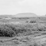 Riverside Sewage Works Reconstruction XII, showing panoramic view of undeveloped area, with rough dirt tracks amongst wild flowers and with industrial buildings on horizon [sequence running from left to right EES11459 – 60 – 66 – 65 – 62 – 67 – 63 – 64 – EES11461], 1966