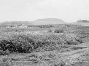 Riverside Sewage Works Reconstruction XII, showing panoramic view of undeveloped area, with rough dirt tracks amongst wild flowers and with industrial buildings on horizon [sequence running from left to right EES11459 – 60 – 66 – 65 – 62 – 67 – 63 – 64 – EES11461], 1966