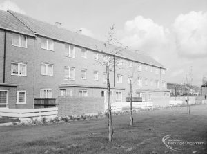 New three-storey housing in Gascoigne area, also showing newly planted trees, 1966