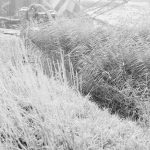 Riverside Sewage Works Reconstruction, showing nature of terrain with reeds and grasses, above Hadsphaltic digger submerged in clay, 1966