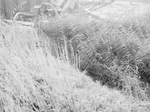 Riverside Sewage Works Reconstruction, showing nature of terrain with reeds and grasses, above Hadsphaltic digger submerged in clay, 1966