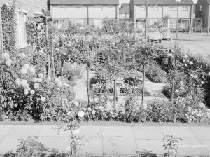 Prizewinning garden at 19 Roycraft Avenue, Barking, 1966