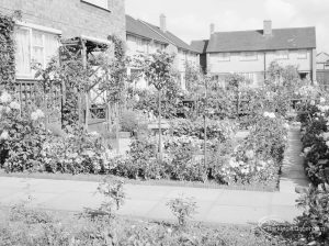 Prizewinning garden at 19 Roycraft Avenue, Barking, including path and houses beyond, 1966