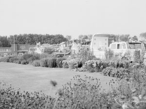 Barking Carnival, showing flowerbeds and lawn in park, with vehicles beyond, 1966