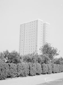 Housing, showing Thaxted House, Siviter Way, Dagenham from south-west, with trees and deep hedge in foreground, 1966