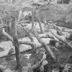 Sewage Works Reconstruct...