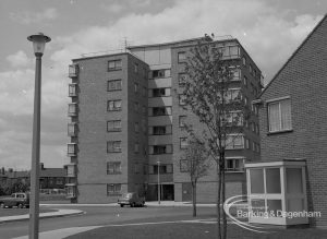 Housing development at John Burns Drive, showing a square seven-storey block of flats with flowering tree, 1967