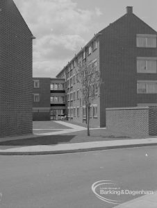 Housing development at John Burns Drive, showing a grassed close with tree between high blocks of flats, 1967
