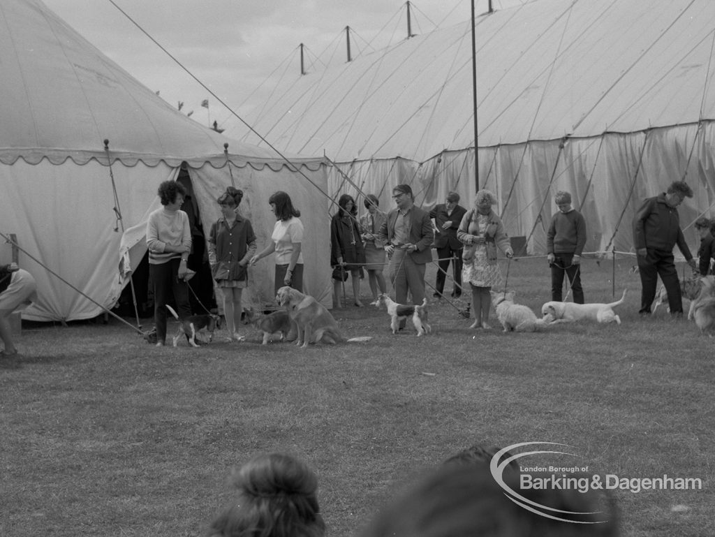 Dagenham Town Show 1967, showing competitors assembling for Dog Show, 1967