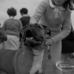 Dagenham Town Show 1967,...
