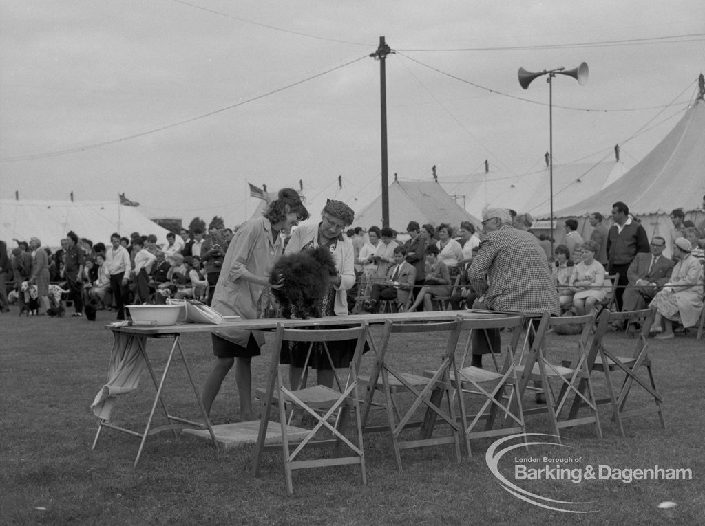 Dagenham Town Show 1967, showing the Dog Show judges bench, 1967