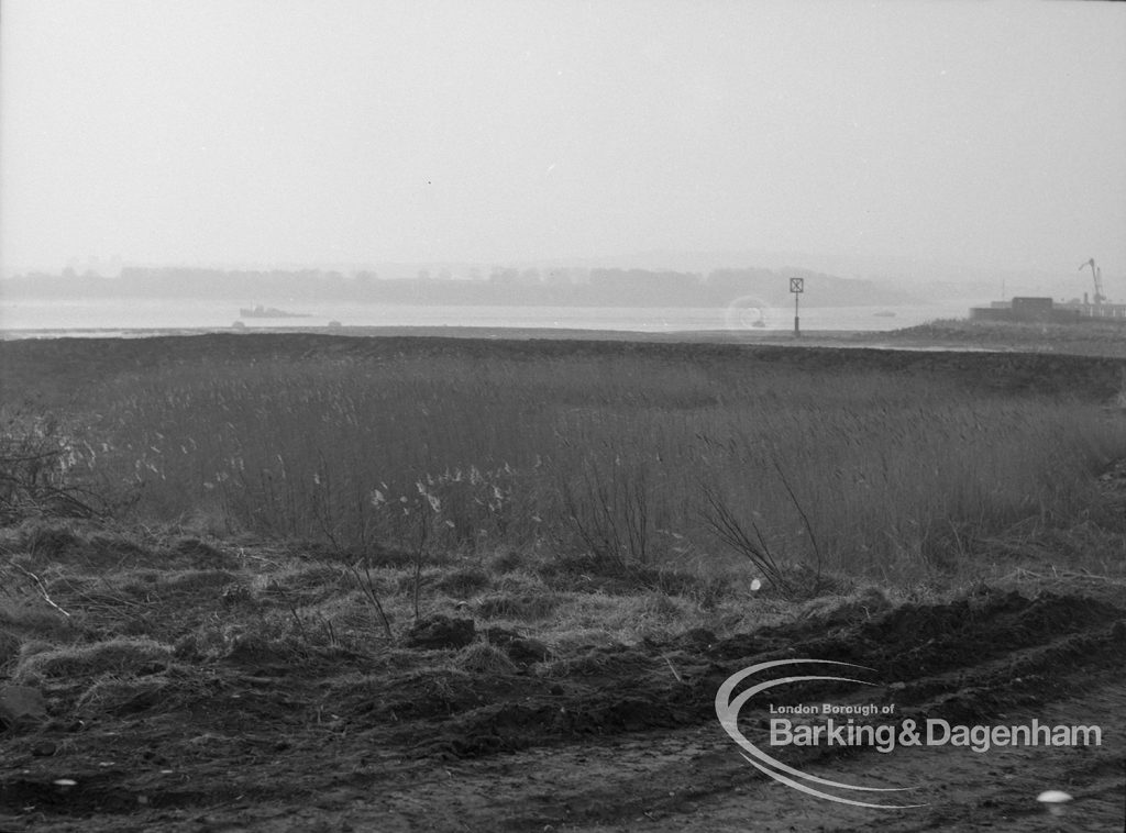 Sewage Works Reconstruction (Riverside Treatment Works) XX, showing vegetation, bog and reeds at Barking Creek outfall, 1967