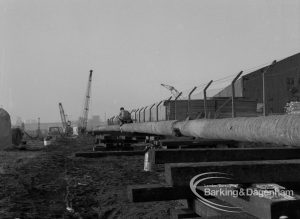 Sewage Works Reconstruction (Riverside Treatment Works) XX, showing long run of pipes welded together and on trestles, at Barking Creek outfall, 1967