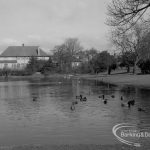 Valence House, Dagenham, showing the east edge of the moat and ducks, 1968