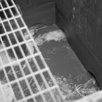 Sewage Works Reconstruct...