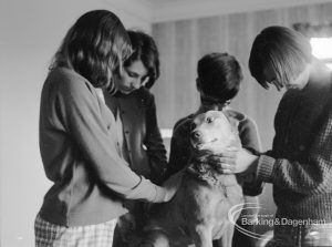 Child Welfare, showing children with dog named Rusty [possibly in house at 100 Balgores Lane, Gidea Park], 1968