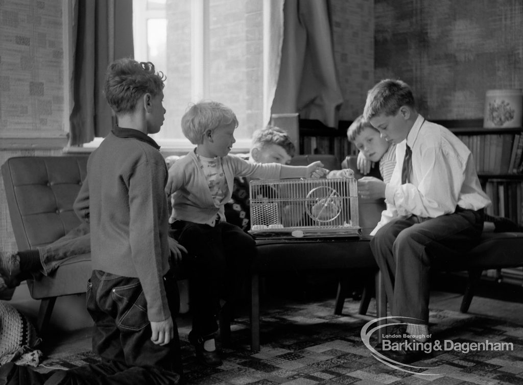 Child Welfare at Woodstock Hall House, Harold Wood, showing five boys gathered around cage on table, 1968