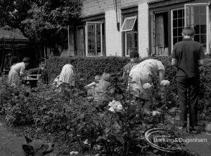Child Welfare at Tudor House, 212 Becontree Avenue, Dagenham, showing the house and residents tidying garden and hedge, 1968