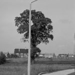Individual aluminium lighting columns in Siviter Way area, Dagenham, showing single column in front of tree in Siviter Way, 1968
