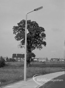 Individual aluminium lighting columns in Siviter Way area, Dagenham, showing single column in front of tree in Siviter Way, 1968