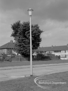 Individual aluminium lighting columns in Siviter Way area, Dagenham, showing single upright column in front of tree, with St Giles Avenue behind, 1968