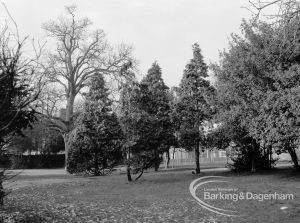 Valence House Museum, Becontree Avenue, Dagenham, showing trees in grounds, 1968 – 1969