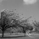Old Dagenham Park, Dagen...