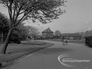 Old Dagenham Park, Dagenham, showing walk by flowerbeds, 1969