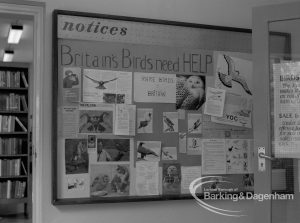 London Borough of Barking Rectory Library, Dagenham, showing Bird Protection display in junior section, 1969