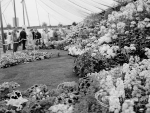 Dagenham Town Show 1969, showing rose section of Horticulture display, 1969