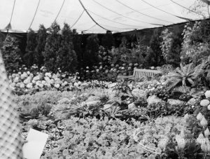 Dagenham Town Show 1969, showing Parks display in Horticulture exhibition, 1969