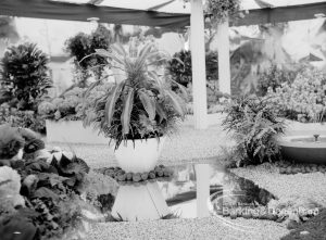 Dagenham Town Show 1969, showing a tropical garden exhibit with pool, 1969