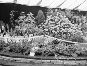 Dagenham Town Show 1969, showing a large Parks display, 1969