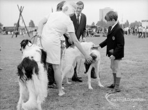 Dagenham Town Show 1969, showing Borzoi dogs at Dog Show, 1969