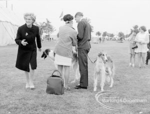 Dagenham Town Show 1969, showing exhibitors discussing Borzoi dogs at Dog Show, 1969