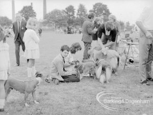Dagenham Town Show 1969, showing children (Victor and Susan) sitting and stroking dogs at Dog Show, 1969