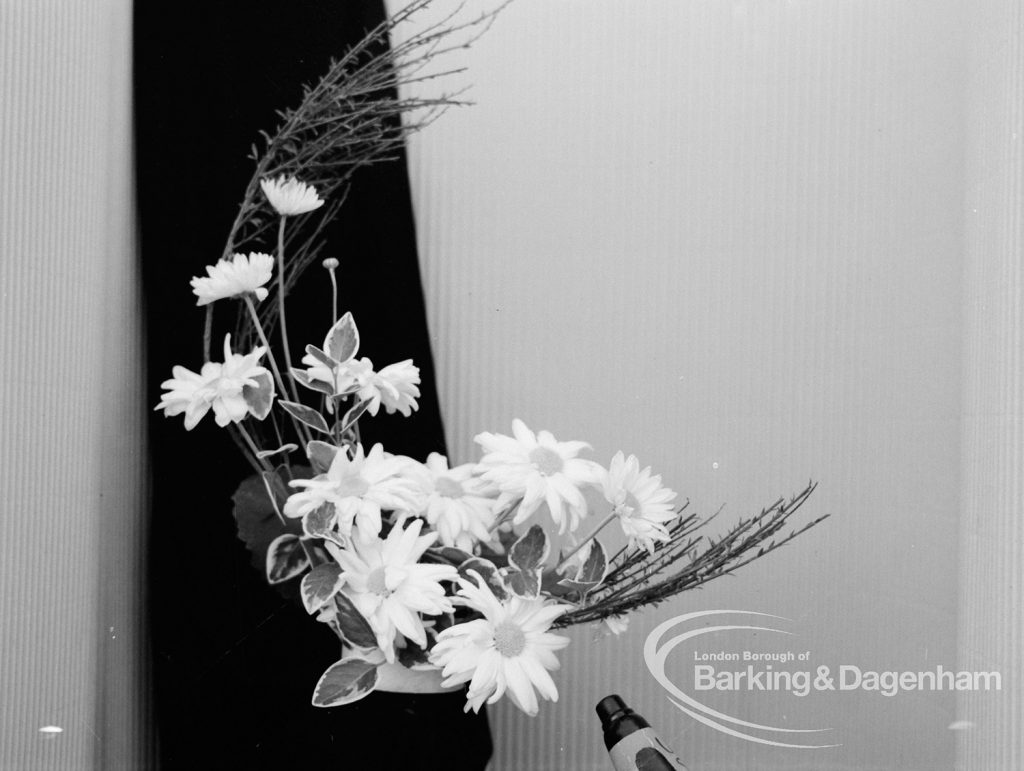 Dagenham Town Show 1969, showing exhibit of marguerite with grasses in Flower Arrangement exhibition, 1969