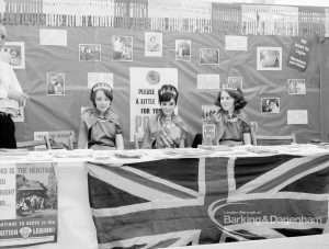 Dagenham Town Show 1969, showing three young women wearing tiaras on British Legion stand, 1969